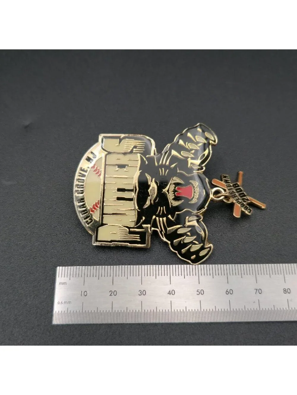 Cedar Grove Panthers 2008 Cooperstown Baseball Pin B1454